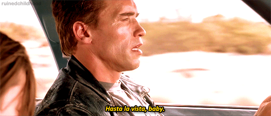 Hasta La Vista, Baby — Viddy Well